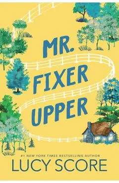Mr. Fixer Upper