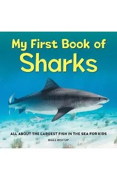 My First Book of Sharks: All about the Largest Fish in the Sea for Kids