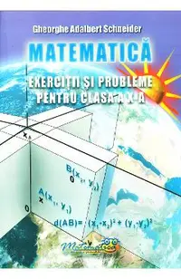 Matematica - Clasa 10 - Exercitii si probleme