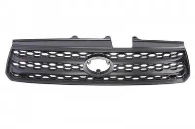 Grila fata TOYOTA RAV 4 II intre 2000-2003