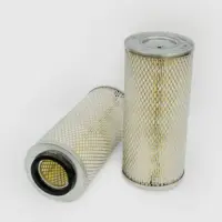 Filtru aer DONALDSON P181089