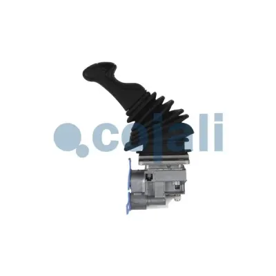 Cojali 2324504