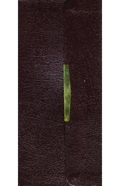 Classic Companion Bible-KJV-Snap Flap
