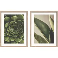Tablouri cu ramă 2 buc. imprimate 30x40 cm Beauty Green – Styler