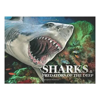 Sharks & Predators of the Deep