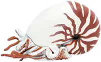 Figurină Papo Marine Life - Nautilus