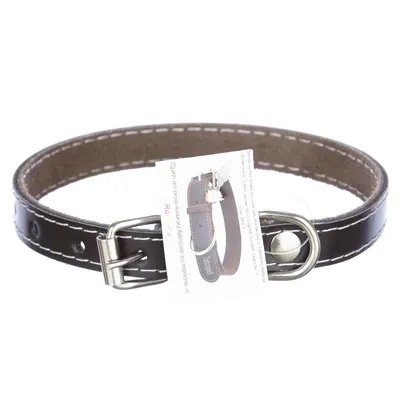 Zgarda din piele, neagra, pentru caini de talie mica, 1.5 cm x 35 cm