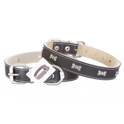 Zgarda din piele, neagra, cu ornamente tip oase, 2.3 cm x 50 cm, pentru caini de talie medie