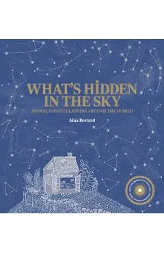 What's Hidden in the Sky?: Animal Constellations Around the World (a Shine-A-Light Book)