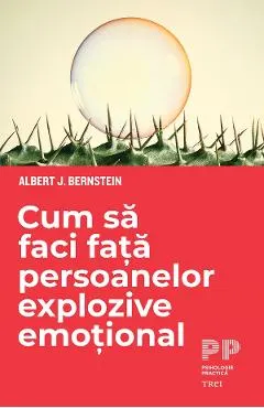 eBook Cum sa faci fata persoanelor explozive emotional