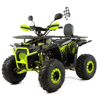 Atv copii XTR 018 8 Pro Discovery, roti 8 inch, 125cc, 4 timpi, 3+1, pornire electrica, culoare negru verde