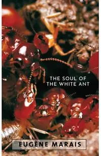 The Soul of the White Ant