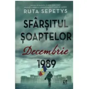 Sfarsitul soaptelor. Decembrie 1989