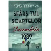 Sfarsitul soaptelor. Decembrie 1989