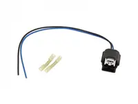 Set reparatie cabluri pentru lumini nr inmatriculare (250mm, numar pini: 2, fara acoperire) potrivit RENAULT GRAND SCENIC III, MEGANE III, SCENIC III 1.2-2.0D dupa 2008