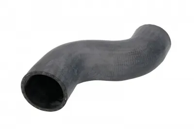 Furtun radiator (60mm, lungime: 270mm) potrivit MAN TGA, TGS I, TGX I D0836LF41-D3876LF09 04.00