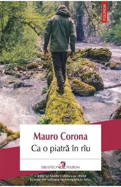 eBook Ca o piatra in riu