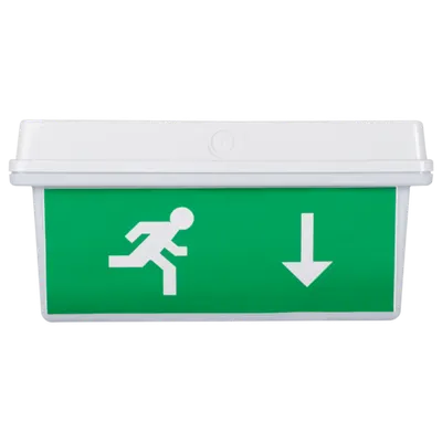 Lampa Exit LED IP65 30x0.1W Display Jos