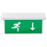 Lampa Exit LED IP65 30x0.1W Display Jos