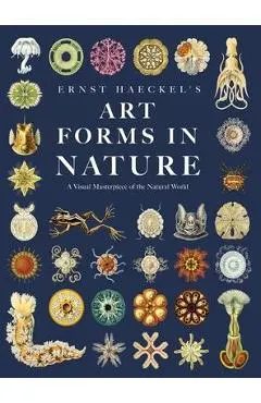 Ernst Haeckel's Art Forms in Nature: A Visual Masterpiece of the Natural World