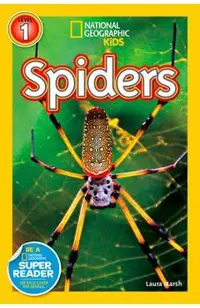 Spiders