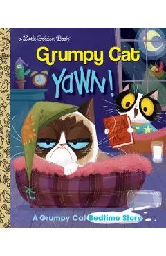 Yawn! a Grumpy Cat Bedtime Story (Grumpy Cat)