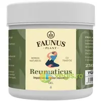 Gel pentru Mobilitate Articulara si Musculara Reumaticus 250ml