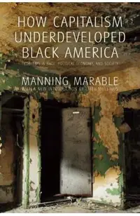 How Capitalism Underdeveloped Black America: Problems in Race, Political Economy, and Society