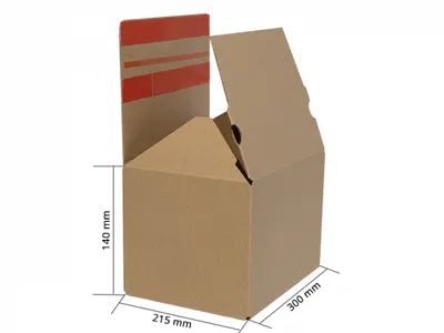 Cutii de carton cu autoformare ecommerce, FitBox, productive si eficiente, fund dublu, 300x215x140