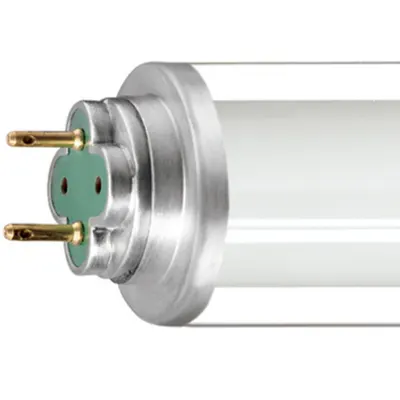 Tub fluorescent Philips MST TL-D Xtreme Polar 18W/865