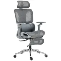 HOMCOM Scaun de birou ergonomic cu cotiere 6D, tetieră și adâncimea șezutului reglabile, plasă, gri | Aosom Romania