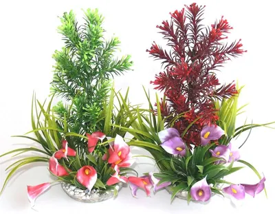 Sydeco Paradise 20 Cm 350009