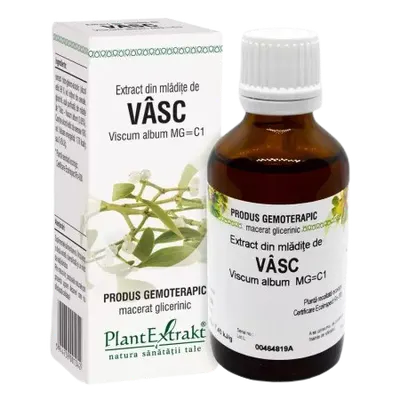Extract din mladite de vasc, 50ml, PlantExtrakt