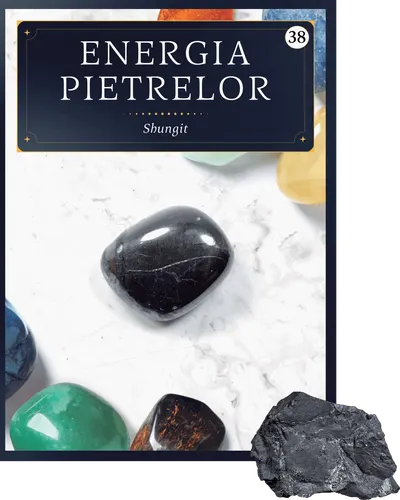Shungit. Volumul 38. Energia pietrelor