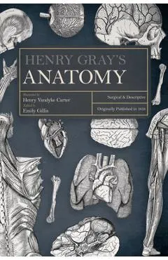 Henry Gray's Anatomy: Descriptive and Surgical