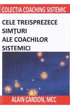 Cele treisprezece simturi ale coachilor sistemici
