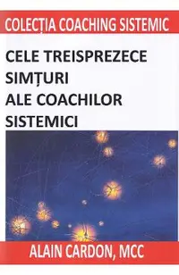 Cele treisprezece simturi ale coachilor sistemici