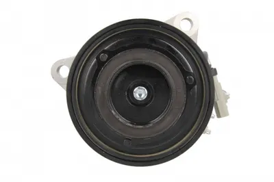 Compresor climatizare potrivit CHRYSLER VOYAGER IV; DODGE CARAVAN 3.3 3.8 01.95-12.08