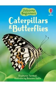 Caterpillars and Butterflies