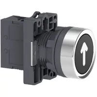 Buton,cu revenire, incastrat, marcat, arrow ,1NO