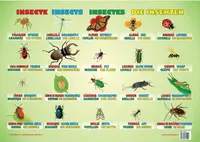Planșă - Insecte - Hardcover