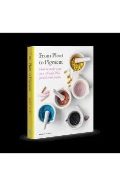 From Plant to Pigment: How to Make Paint, Pastels and Chalks from Plants