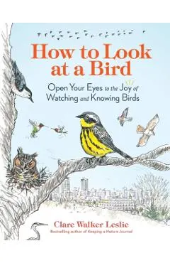 How to Look at a Bird: Open Your Eyes to the Joy of Watching and Knowing Birds