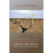 Clerul azi. O privire din interior. Tentatii, impasuri, maladii si remedii