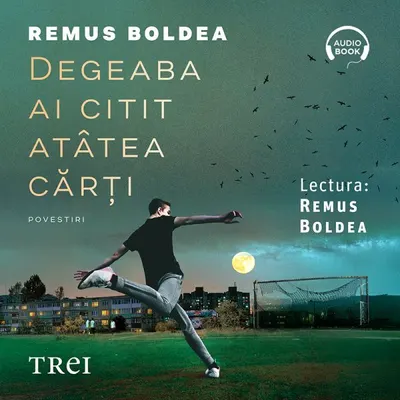 Degeaba ai citit atâtea cărți - Audiobook