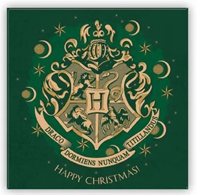 Cadou bun Magnet Filme: Harry Potter - Hogwarts Green
