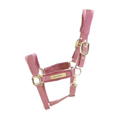 Kentucky Velvet Halster Roze