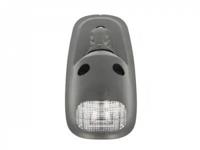 Lumina delimitare stanga dreapta, alb, R5W, 12 24V potrivit RVI PREMIUM; VOLVO FE, FL 04.96