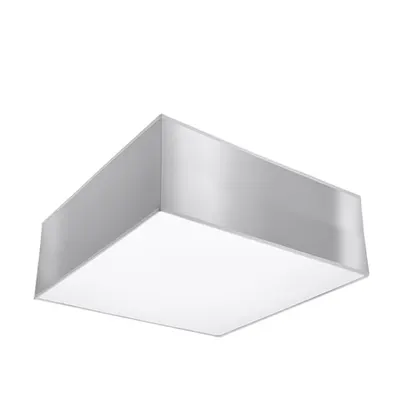 Corp de iluminat pentru tavan HORUS gray
