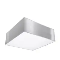 Corp de iluminat pentru tavan HORUS gray